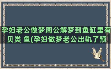 孕妇老公做梦周公解梦到鱼缸里有贝类 鱼(孕妇做梦老公出轨了预示着什么)